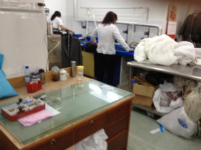 惠州妇幼保健院洗衣房设备购置及安装询价采购